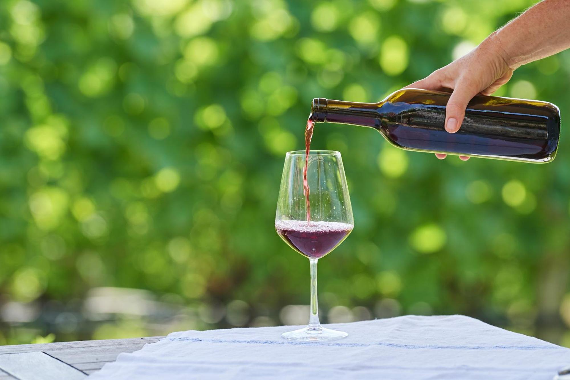 Weingut Stuck Apartment Appiano Sulla Strada Del Vino Exterior photo