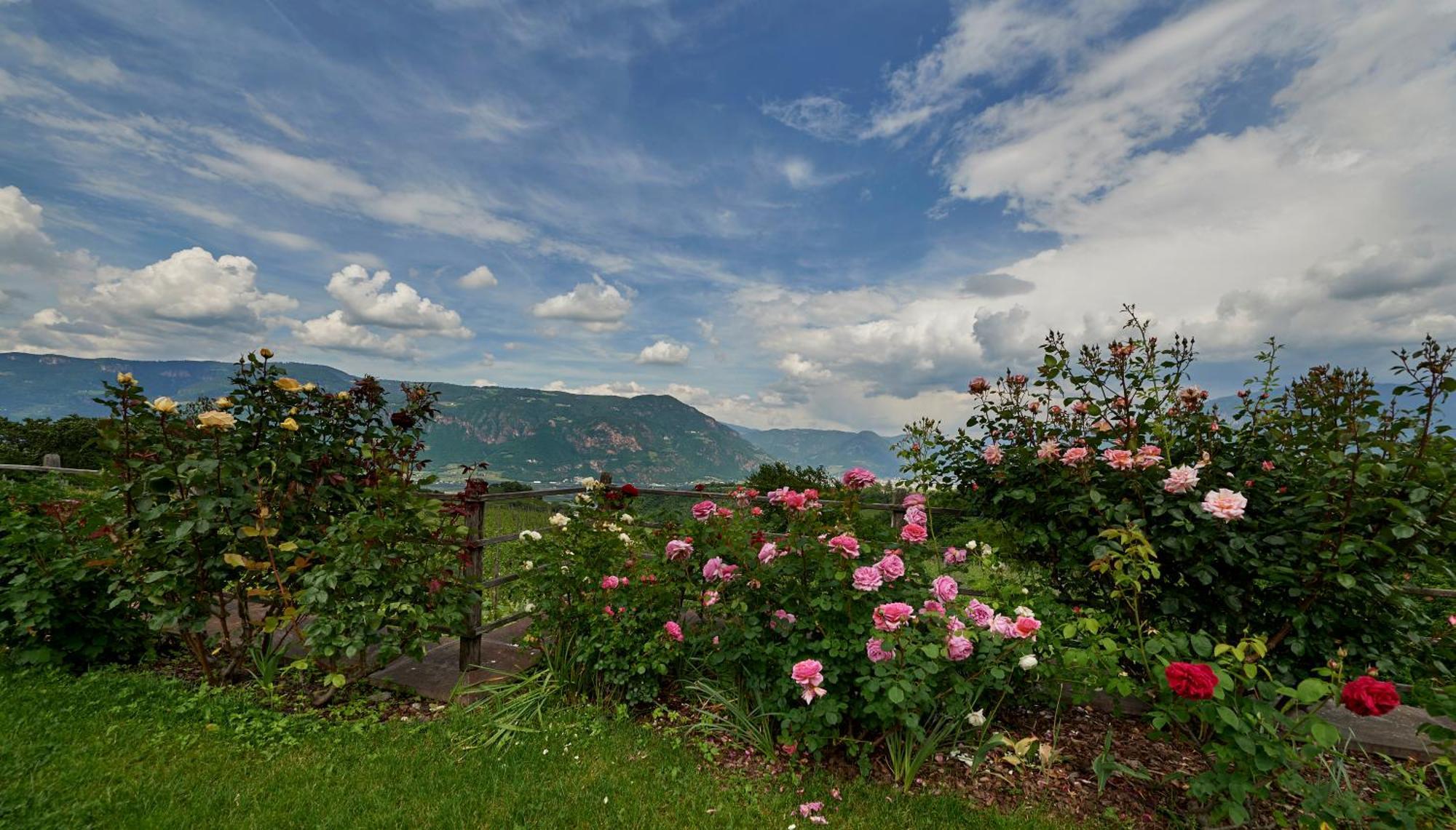 Weingut Stuck Apartment Appiano Sulla Strada Del Vino Exterior photo