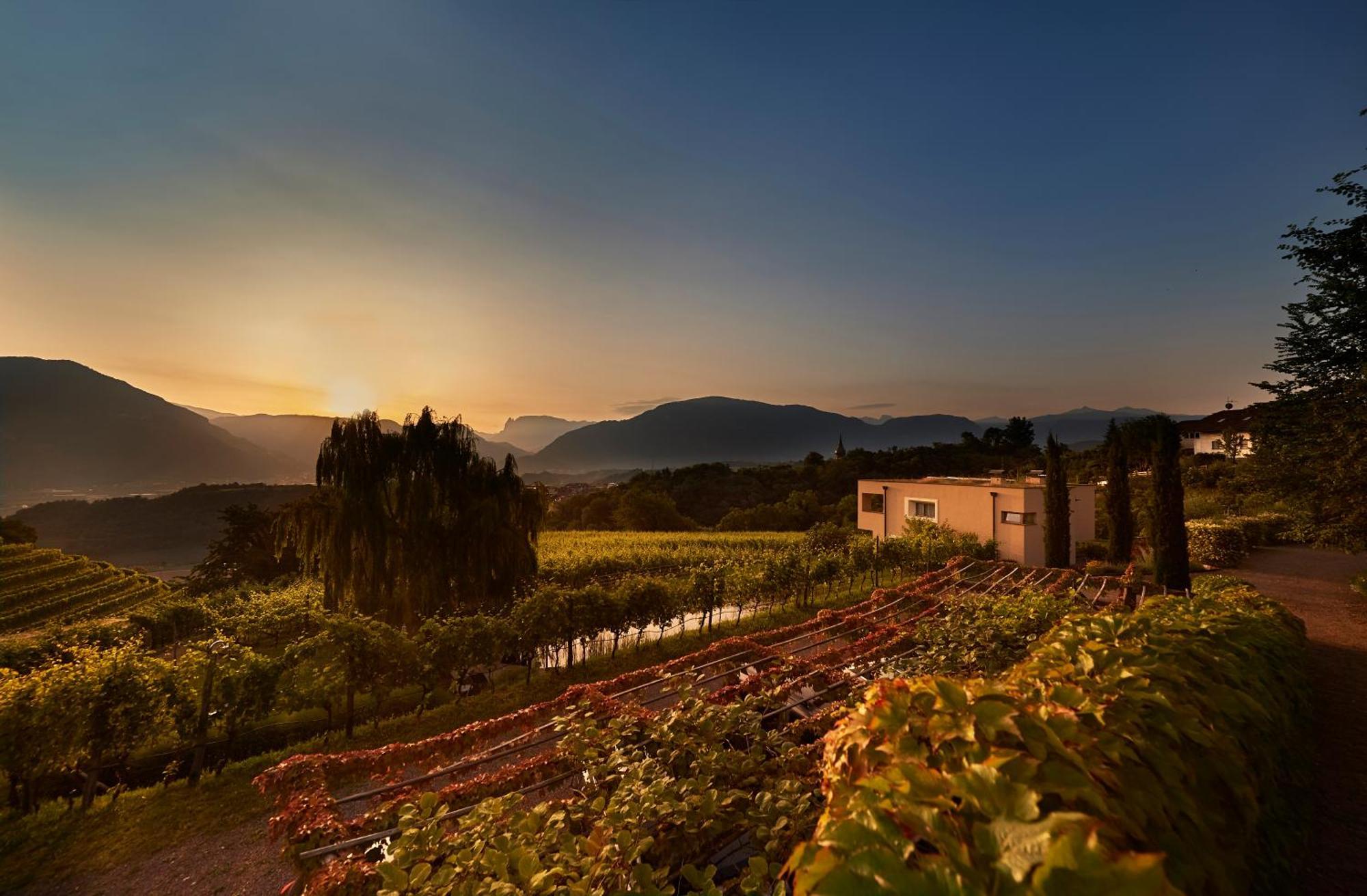 Weingut Stuck Apartment Appiano Sulla Strada Del Vino Exterior photo