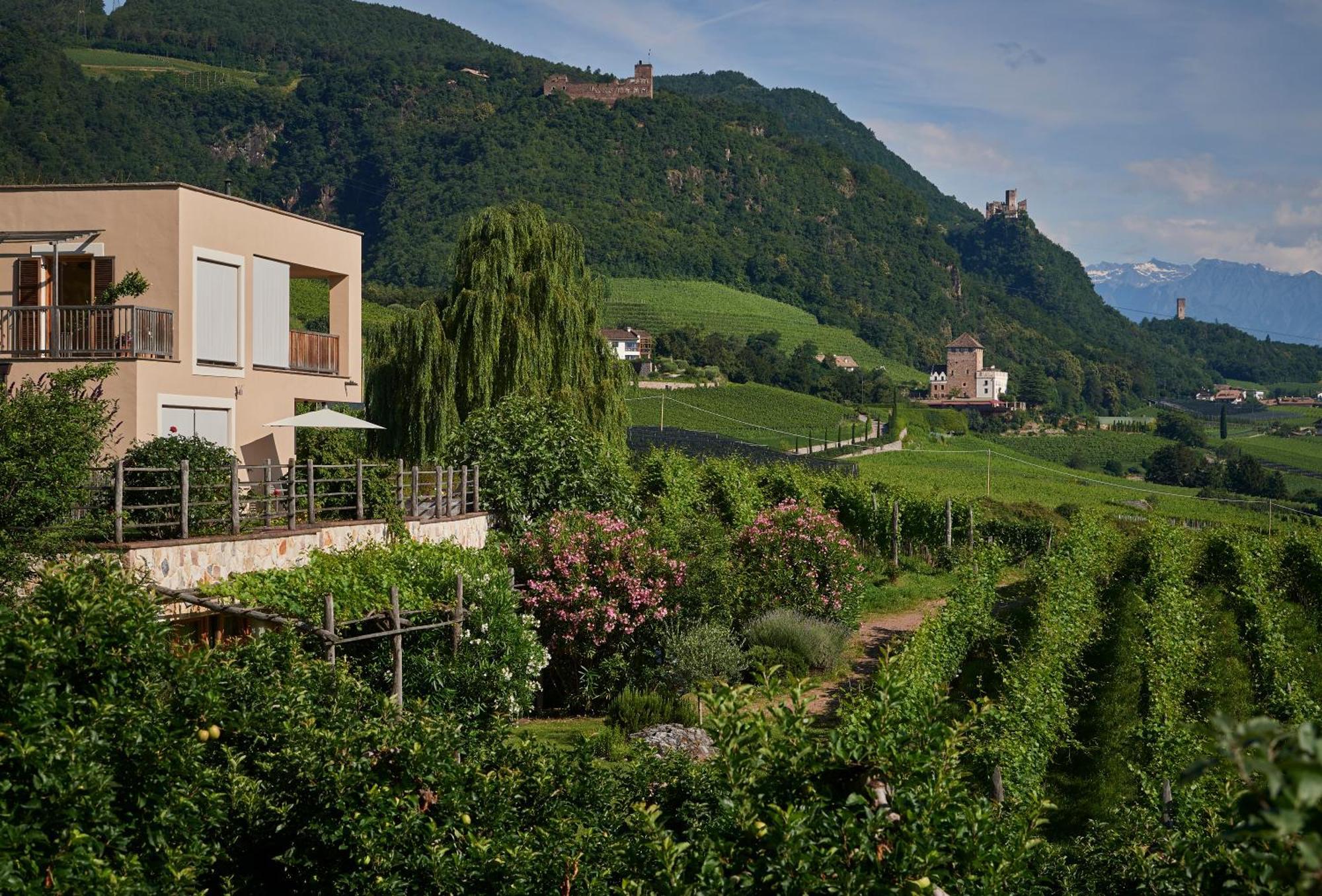 Weingut Stuck Apartment Appiano Sulla Strada Del Vino Exterior photo